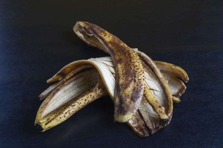 Fertilizante cáscara de banana 