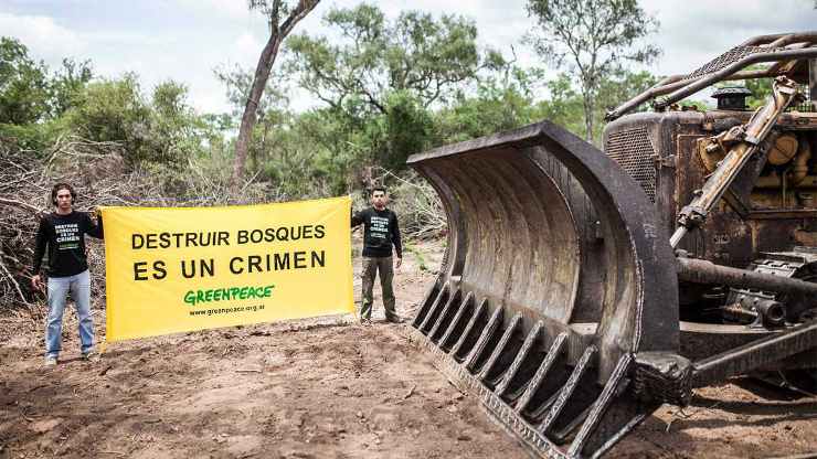  Greenpeace Argentina