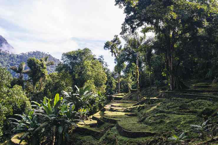 Terrazas de la Ciudad Perdida