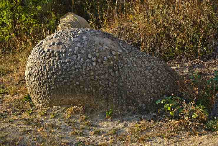 Trovants rocas vivas