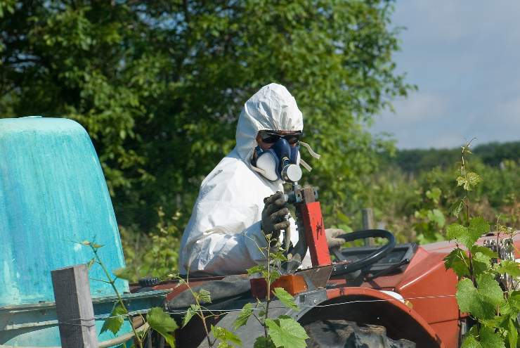 Vitivinicultura ecológica