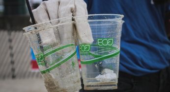 Greenwashing, el engaño de las marcas para parecer más verdes