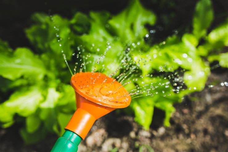 Ideas para aprovechar el agua de lluvia