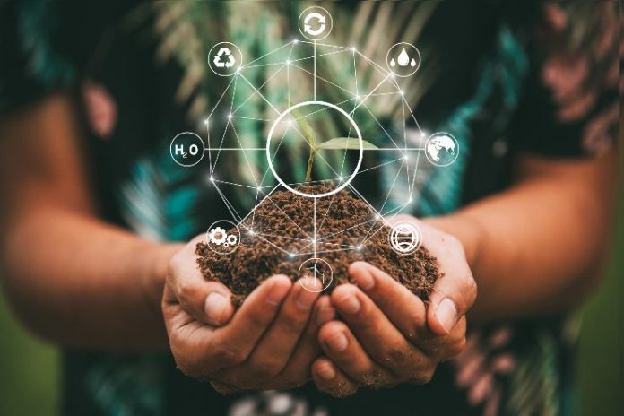 Siete ideas para tener una vida más ecológica y ahorrar dinero