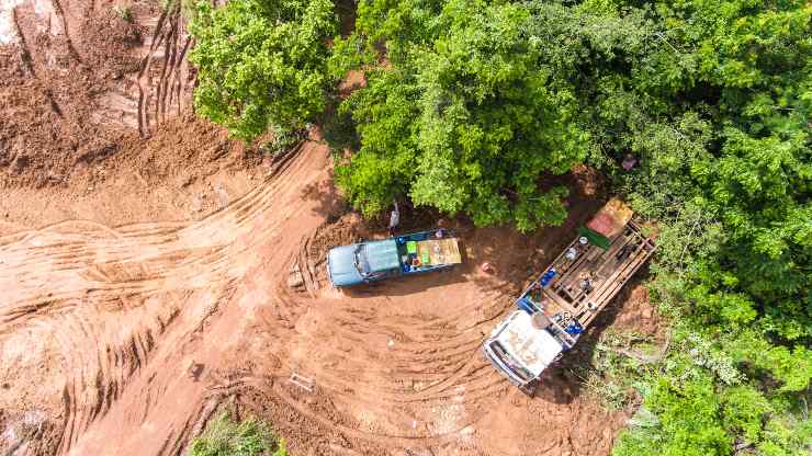 El estado de los bosques