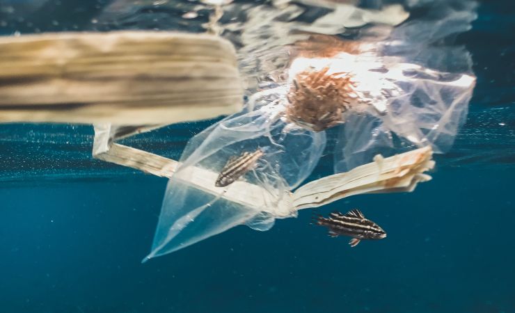 Plásticos en mares y océanos España