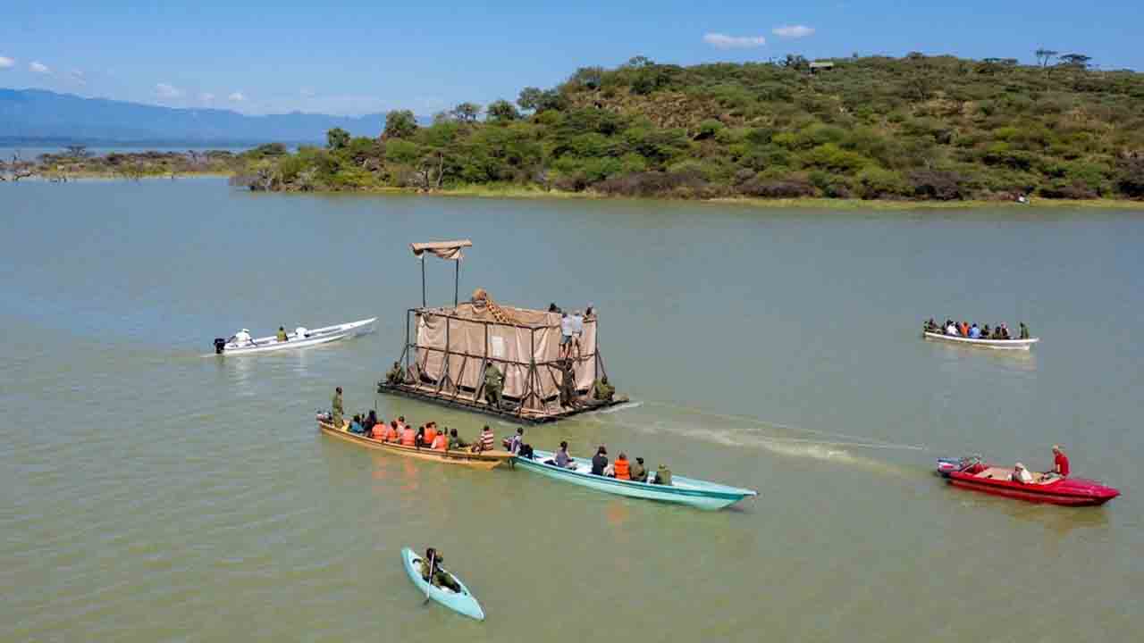 Las jirafas son rescatadas en barcazas especialmente diseñadas (Save the Giraffes).