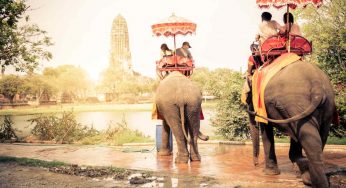 Elefantes maltratados por una foto, la otra cara del turismo en Asia