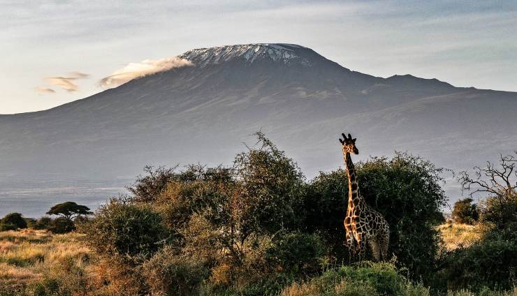 Cumbre del Kilimanjaro en peligro