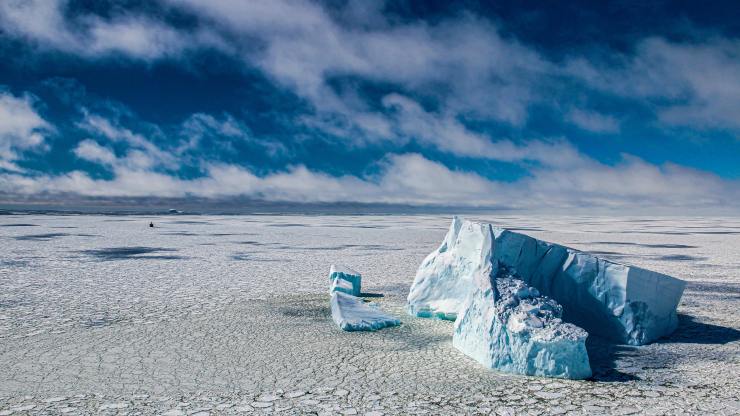 Navegando entre hielos e icebergs