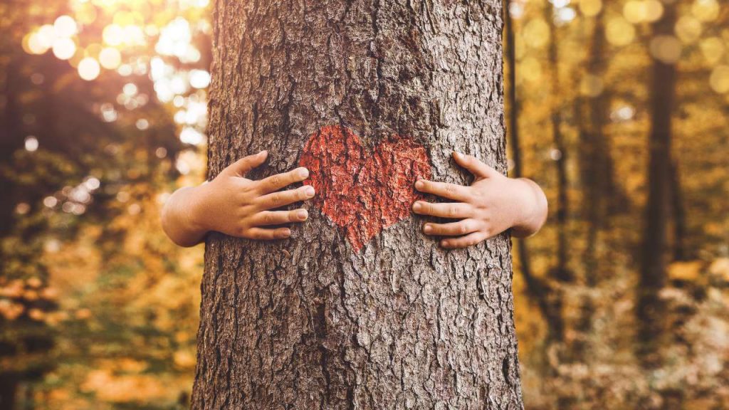 ¿Podríamos transformar los cementerios en bosques?