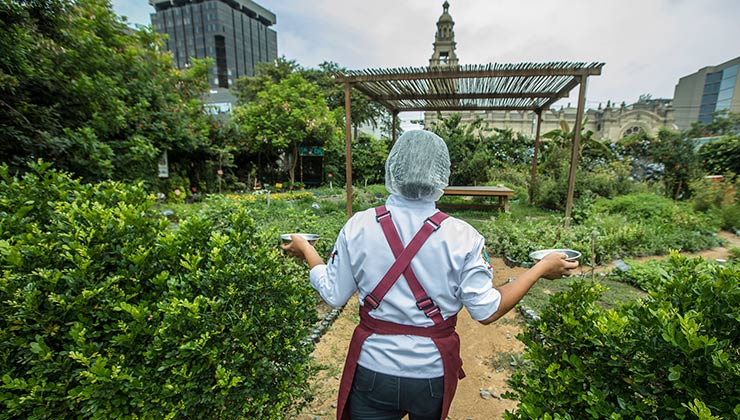 La huerta de Astrid y Gastón es un respiro verde en el corazón de lima (Foto de astridygaston.com).