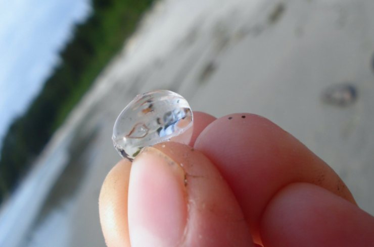 esferas transparentes en la costa de California