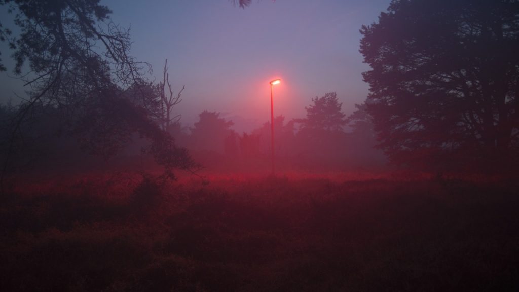 El pueblo holandés que se ilumina de rojo para ayudar a los murciélagos