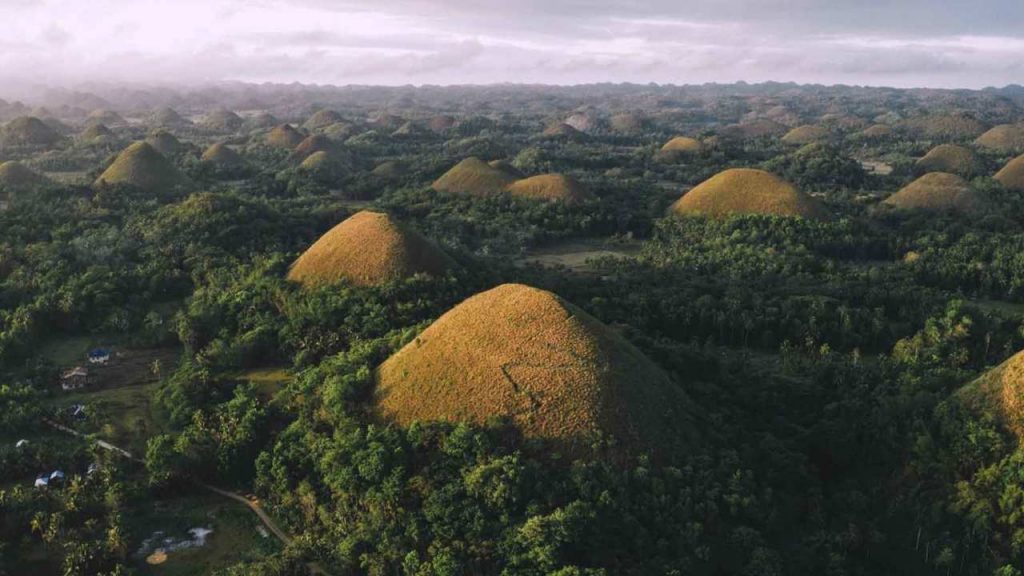 Chocolate Hills