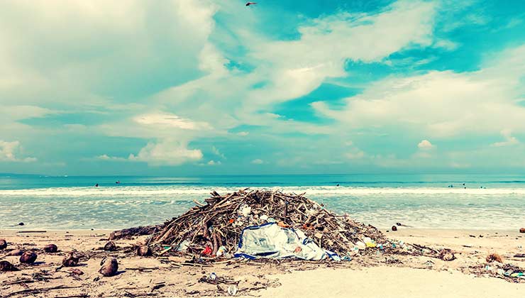 La basura en la playa afecta a la naturaleza y los paisajes (Foto de Artem Beliaikin - Pexels).