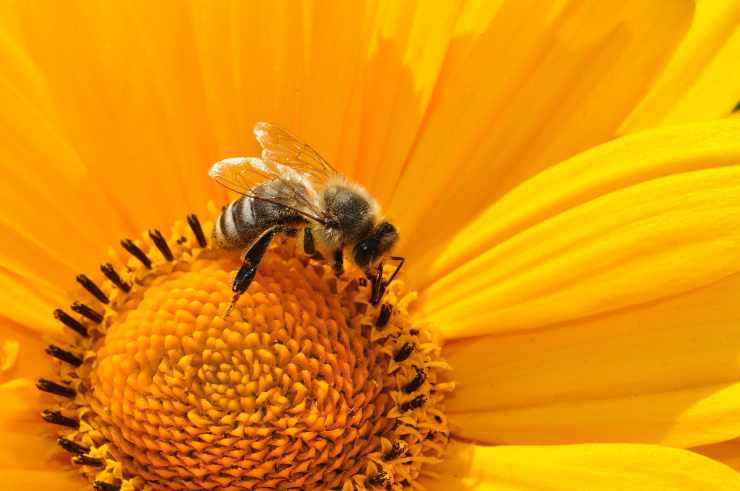 lo que la naturaleza nos enseña para vivir