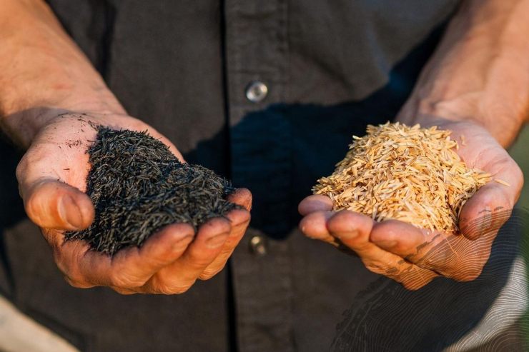 Carbón ecológico fabricado con cáscaras de arroz