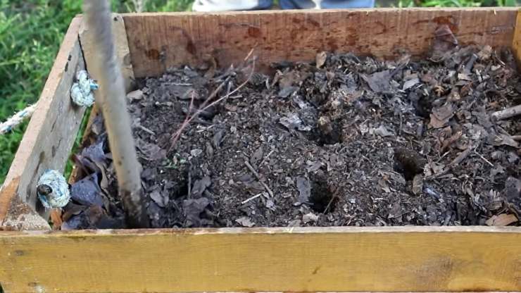 caja compost 2