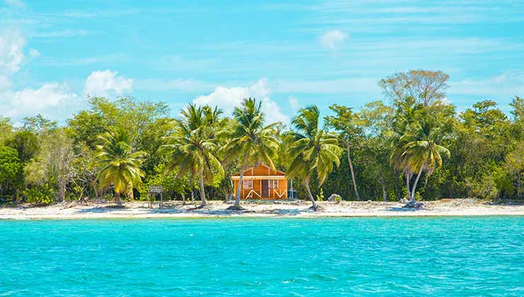 El Caribe es una reserva de biodiversidad clave para la humanidad (Foto de Leonardo Rossatti - Pexels).