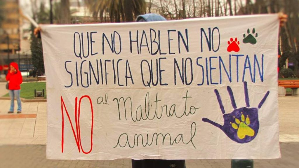 El debate en la defensa de los animales: ¿bienestarismo o abolicionismo?