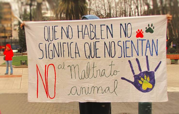 El debate en la defensa de los animales: ¿bienestarismo o abolicionismo?