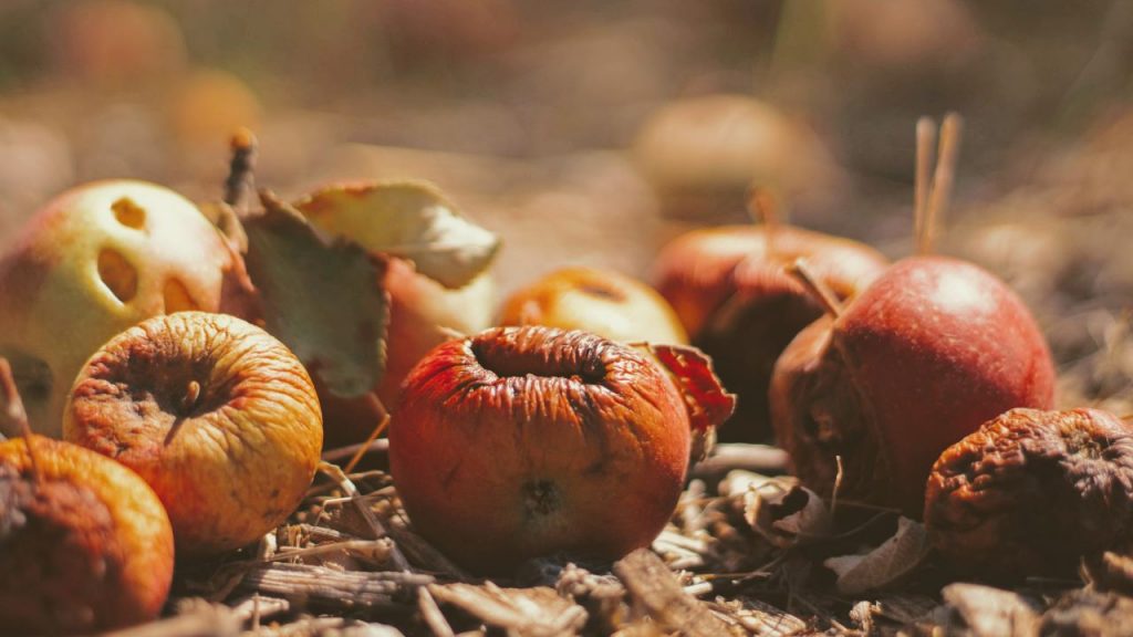 consejos para reducir tu huella alimentaria