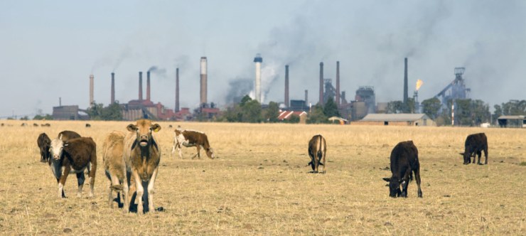 Industria ganadera