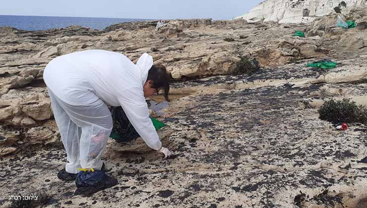 La limpieza de las playas se realiza con cientos de voluntarios (Foto EcoOcean).