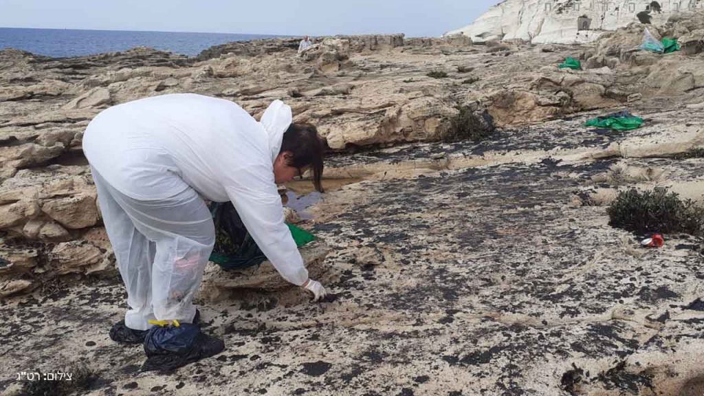 La limpieza de las playas se realiza con cientos de voluntarios (Foto EcoOcean).