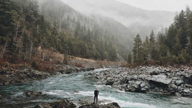 Lo que la naturaleza nos enseña