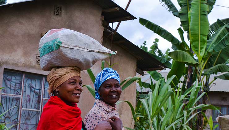 Los contagios de mujeres en áfrica prácticamente no están registrados (Foto de Blue Ox Studio - Pexels).