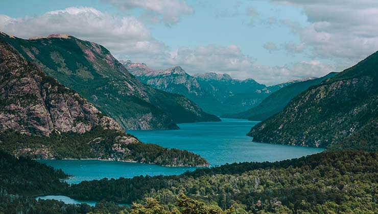 Amércia Latina tiene una gran riqueza de ambientes y biodiversidad (Foto de Kristina Gain - Pexels).