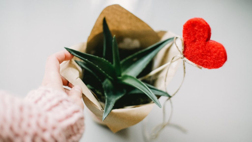 Ideas creativas para regalos ecofriendly en San Valentín
