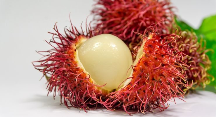 rambutan