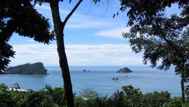 Disfruta de selva y playa en el Parque Nacional Manuel Antonio (Foto de Visit Costa Rica).