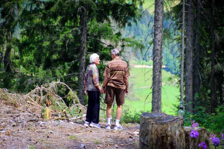 Adultos mayores bosque