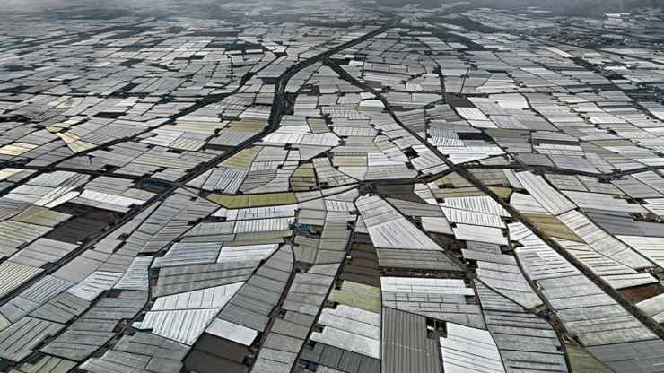 Edward Burtynsky