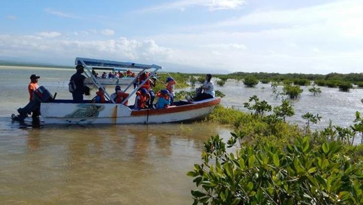 destruyen manglares en Republica Dominicana