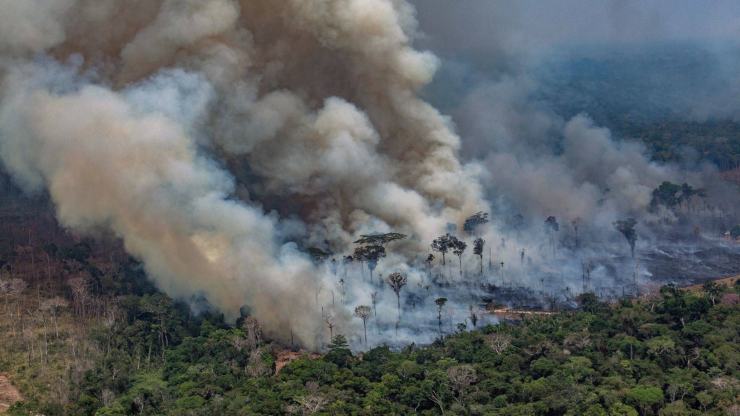 incendios en Amazonas