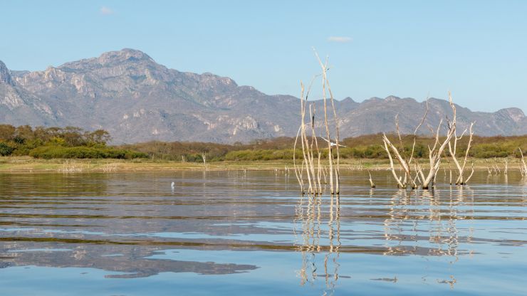 Alarmante: el acceso al agua potable se ha reducido un 84% en México