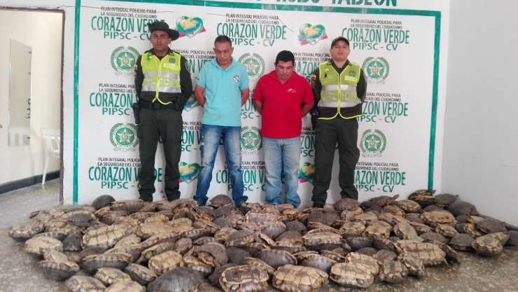 SOS por tortugas e iguanas de Colombia en Cuaresma