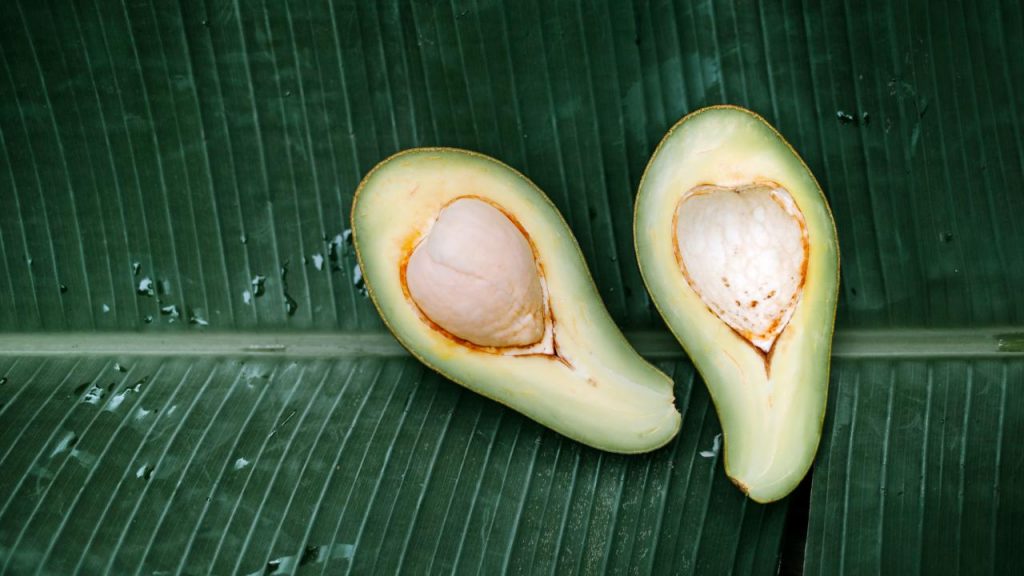 Palta1