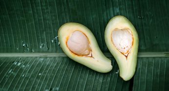 ¿Amas a los aguacates? Te damos 6 razones para amarlos más
