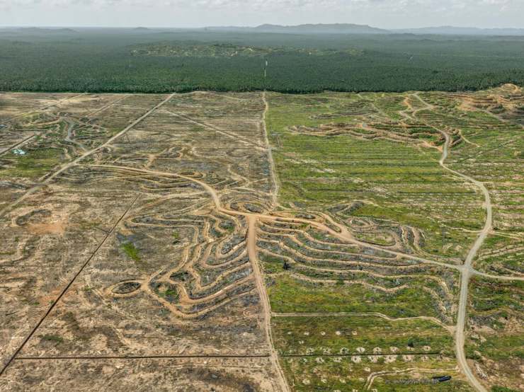 Edward Burtynsky