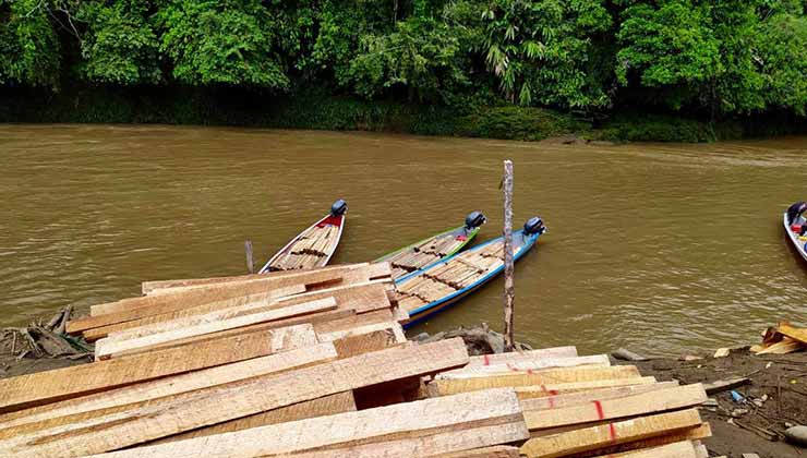 La explotación de madera balsa llevó a la deforestación de la selva en Ecuador (Foto de Fundación Pachamama).