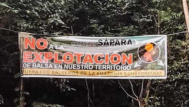 El pueblo Sápara rechaza la extracción de madera balsa de la selva (Foto de Fundación Pachamama).