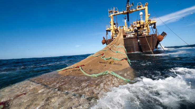 Costa Rica vetó la ley de pesca der arrastre