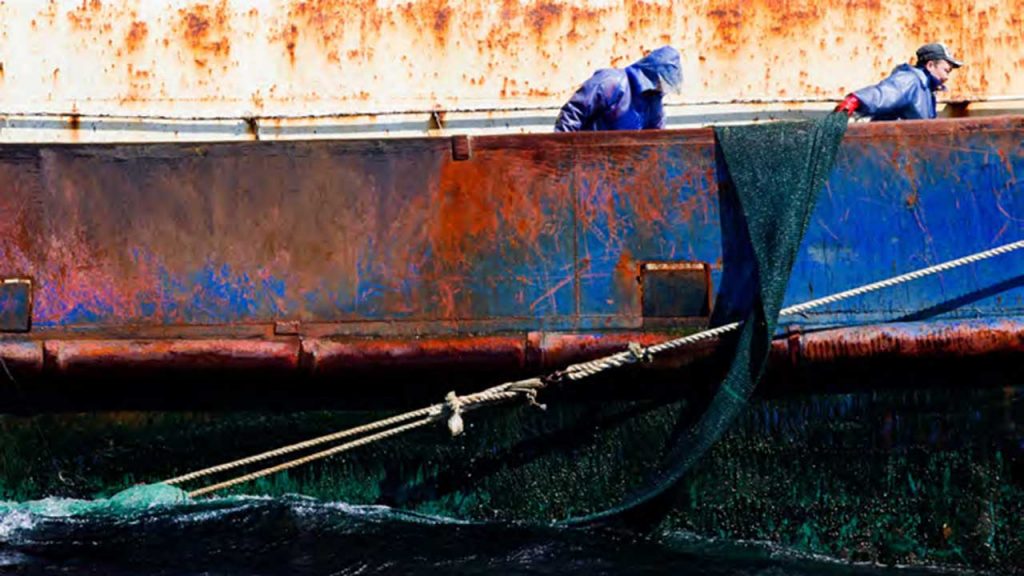 Un embarcación de pesca ilegal levando sus redes de arrastre (Foto Greenpeace).