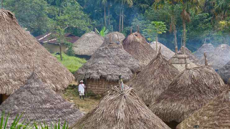 Empresas estadounidenses que degradan la Amazonia